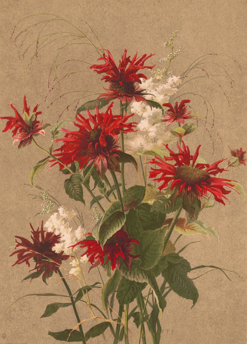 Balm and spirea by Луи Пранг и Ко, 1886 — digital art print download