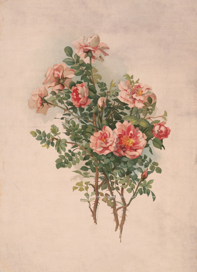 Roses by Луи Пранг и Ко, 1870-1890 — digital art print download
