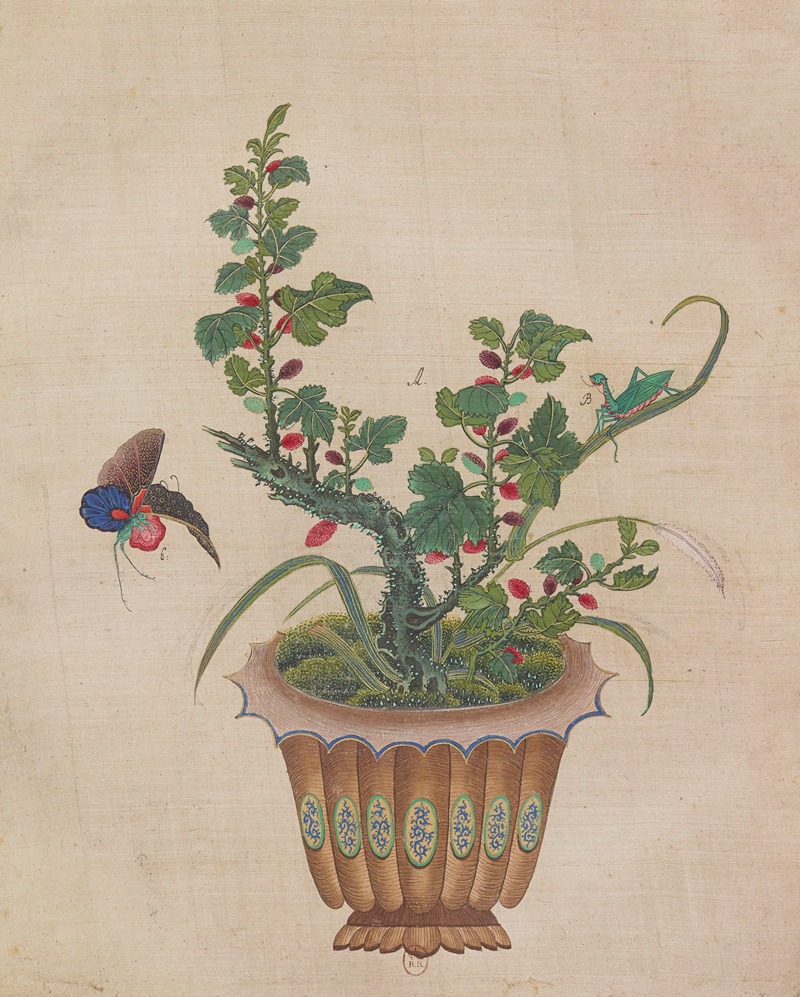 Flowers, birds and insects Pl.02 — Anonymous