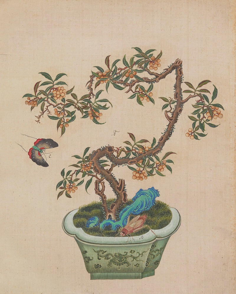 Flowers, birds and insects Pl.04 — Anonymous
