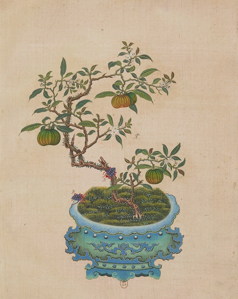 Flowers, birds and insects Pl.05 — Anonymous