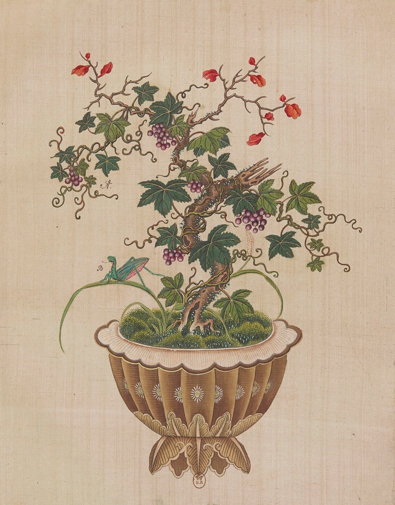 Flowers, birds and insects Pl.07 — Anonymous