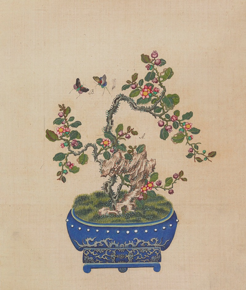 Flowers, birds and insects Pl.10 — Anonymous