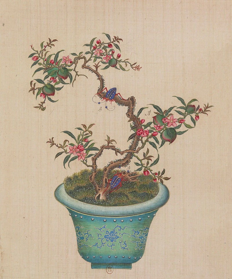 Flowers, birds and insects Pl.12 — Anonymous