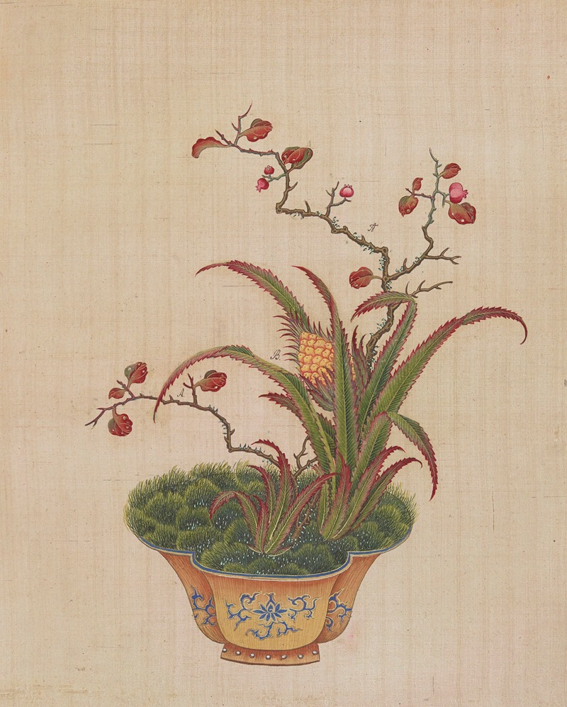 Flowers, birds and insects Pl.13 — Anonymous