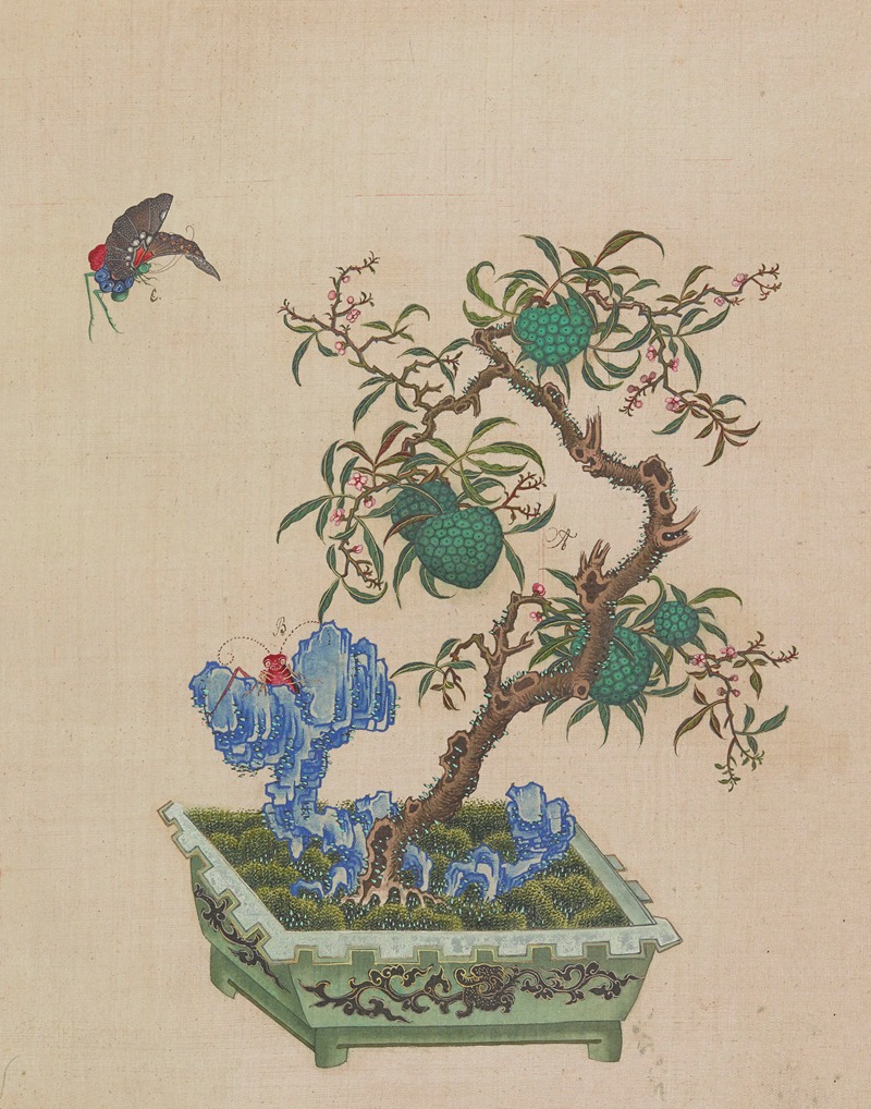 Flowers, birds and insects Pl.16 — Anonymous