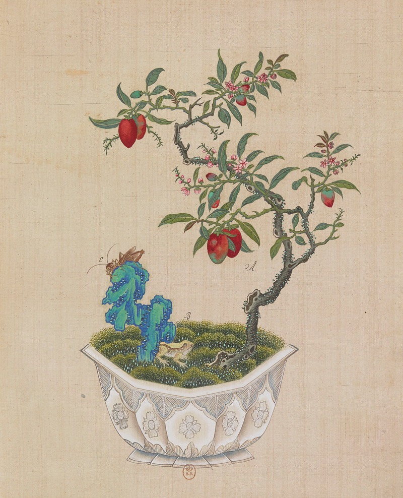 Flowers, birds and insects Pl.17 — Anonymous