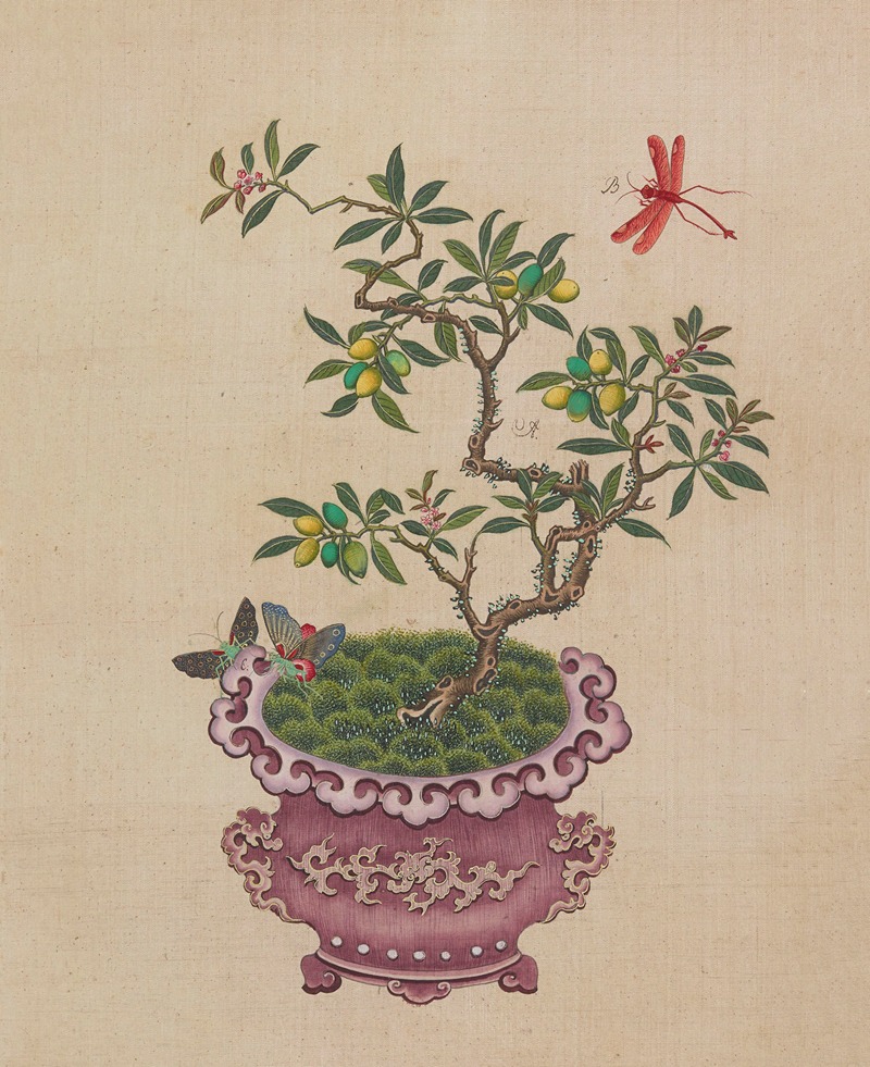 Flowers, birds and insects Pl.18 — Anonymous