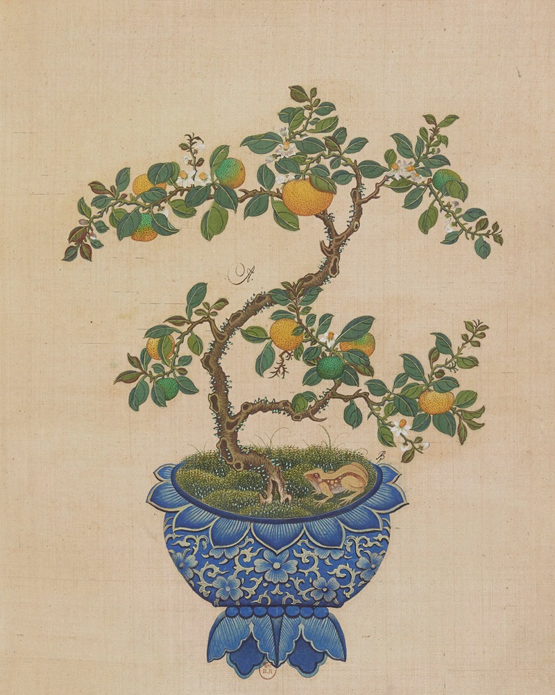Flowers, birds and insects Pl.21 — Anonymous