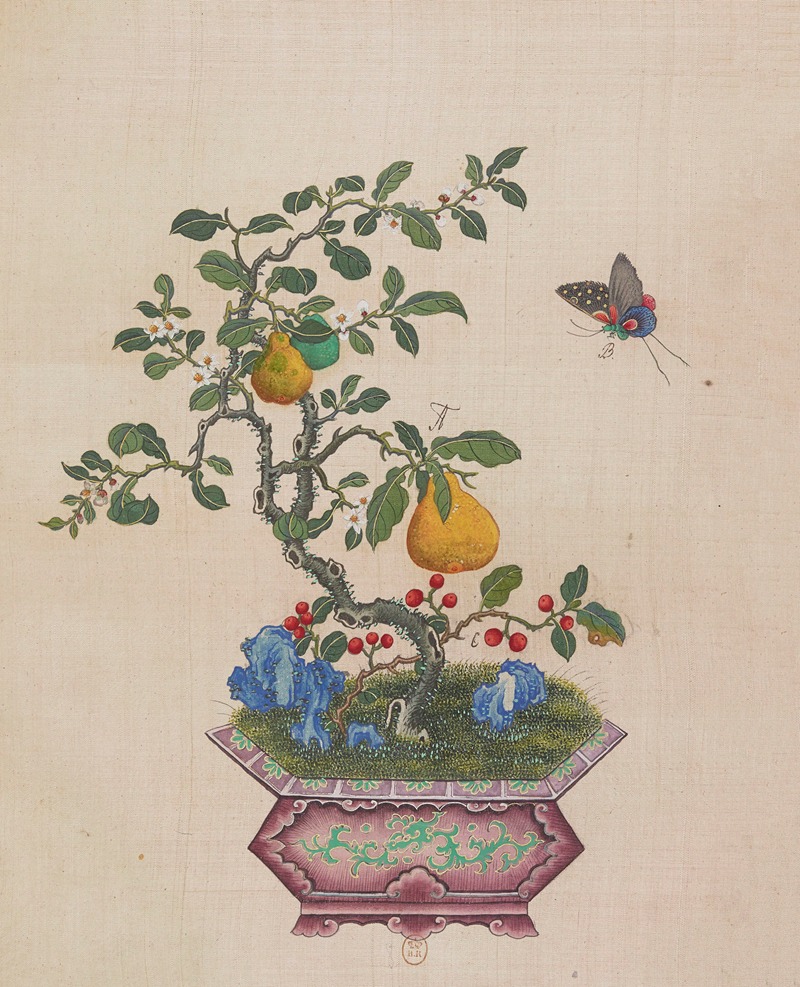 Flowers, birds and insects Pl.24 — Anonymous