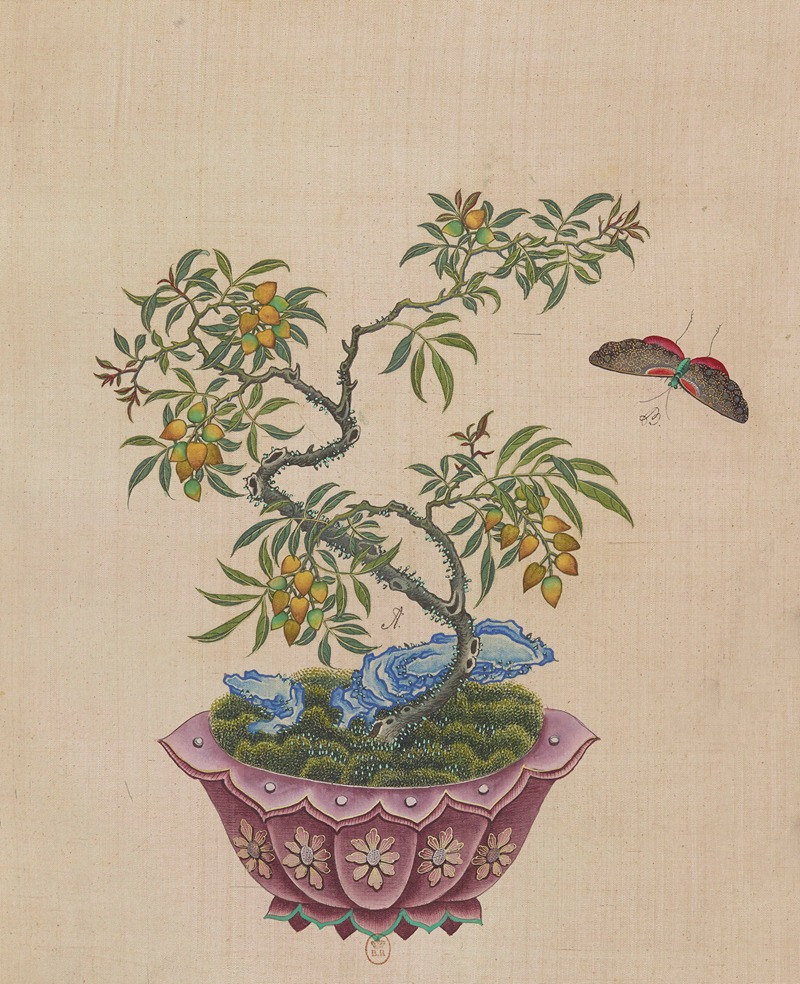Flowers, birds and insects Pl.26 — Anonymous