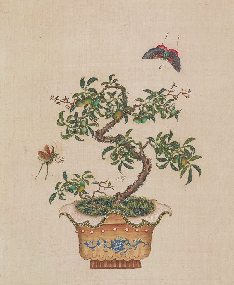 Flowers, birds and insects Pl.30 — Anonymous