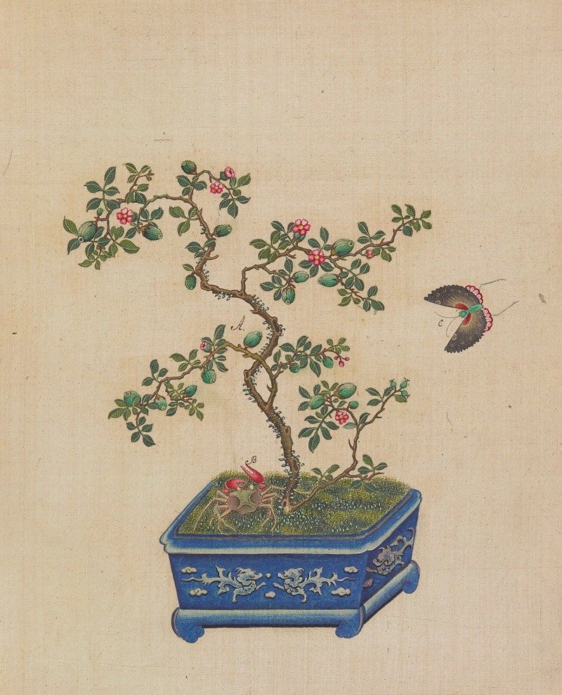 Flowers, birds and insects Pl.35 — Anonymous