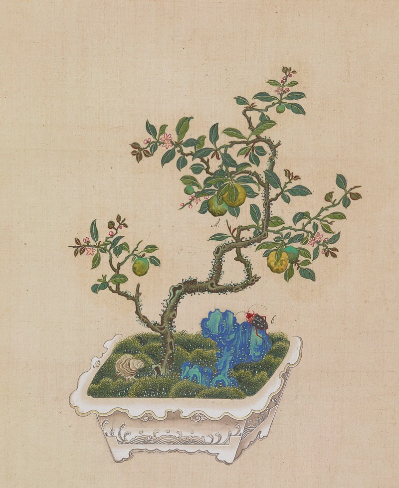 Flowers, birds and insects Pl.38 — Anonymous