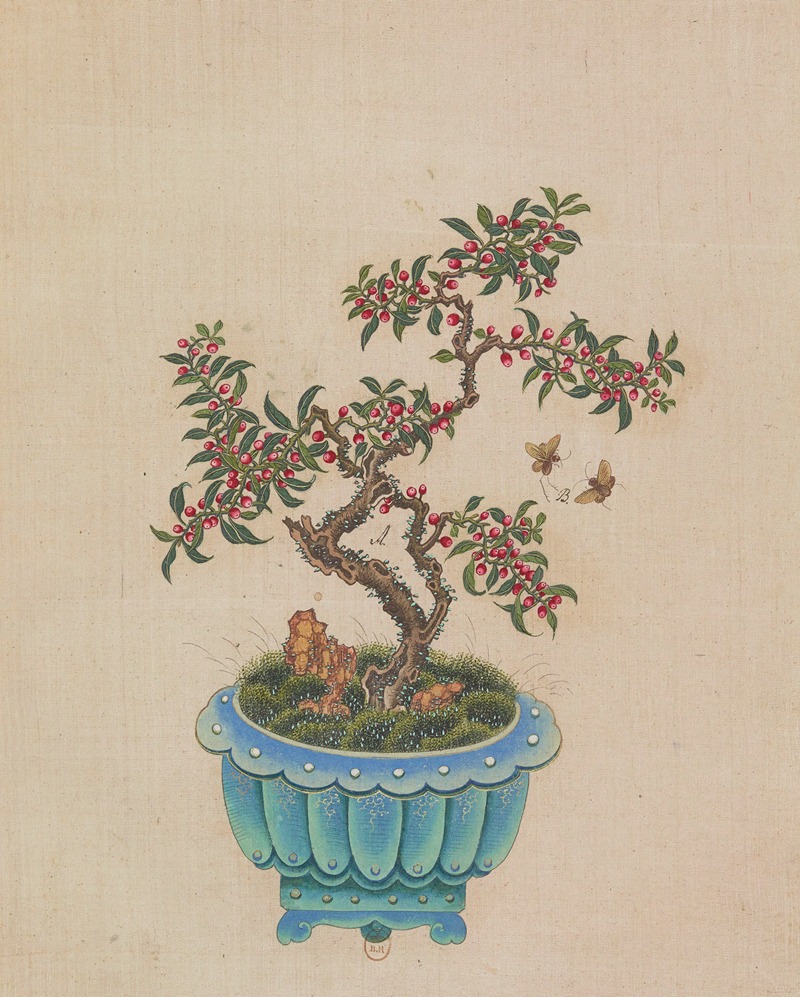 Flowers, birds and insects Pl.41 — Anonymous