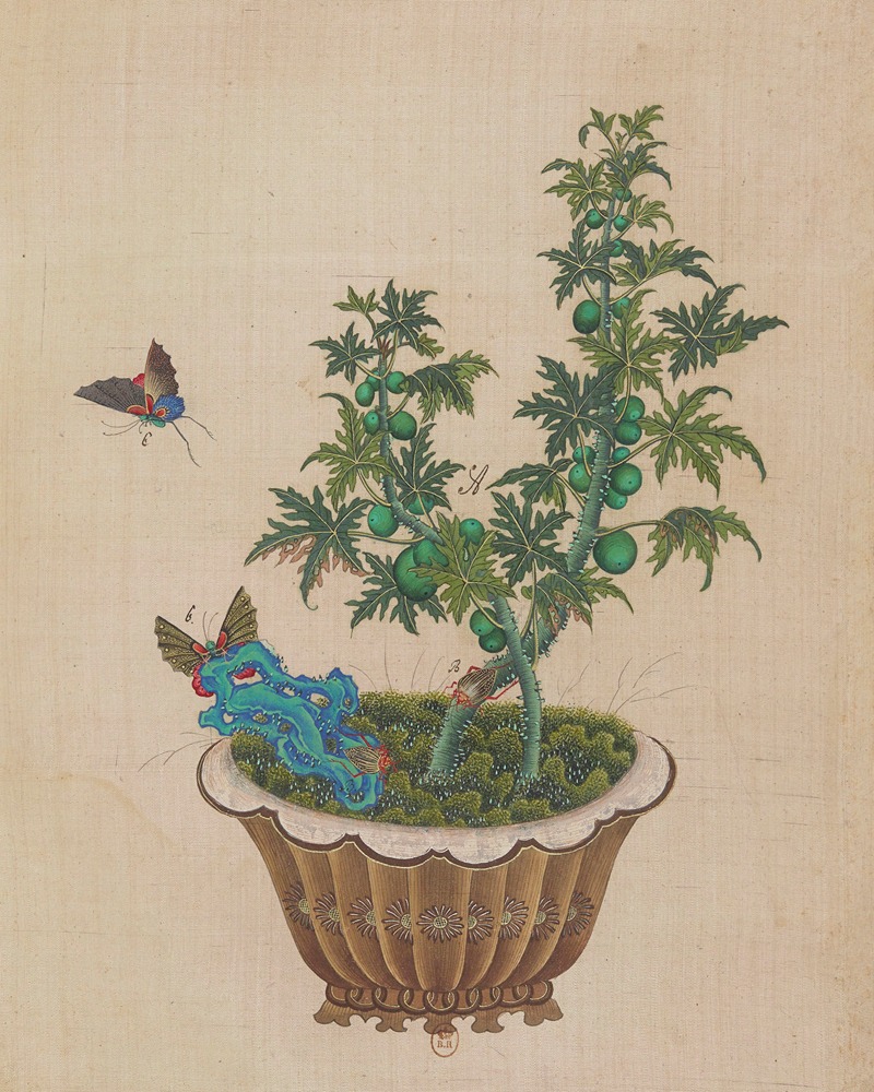 Flowers, birds and insects Pl.45 — Anonymous