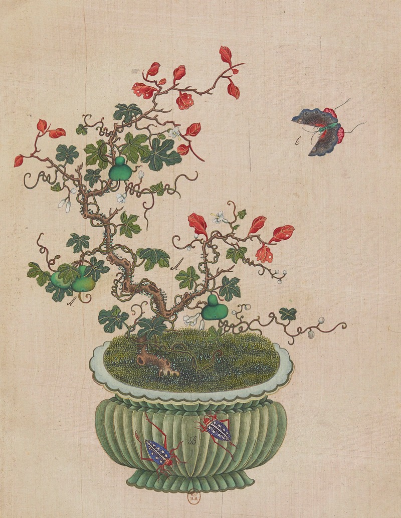 Flowers, birds and insects Pl.47 — Anonymous