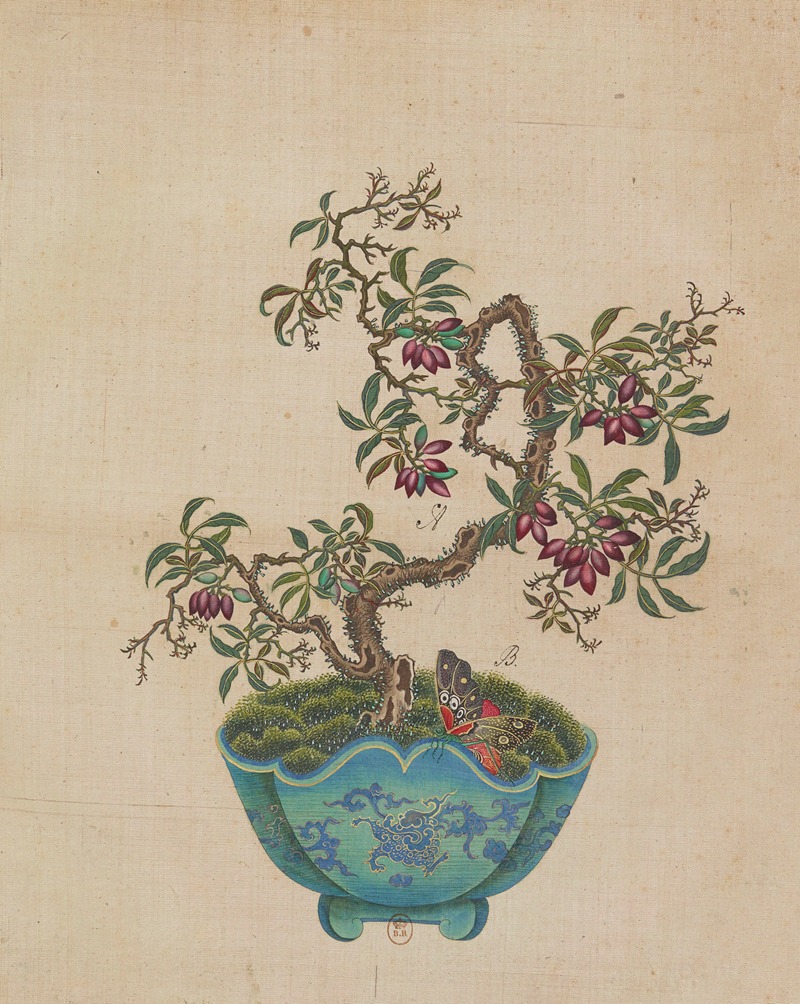 Flowers, birds and insects Pl.50 — Anonymous