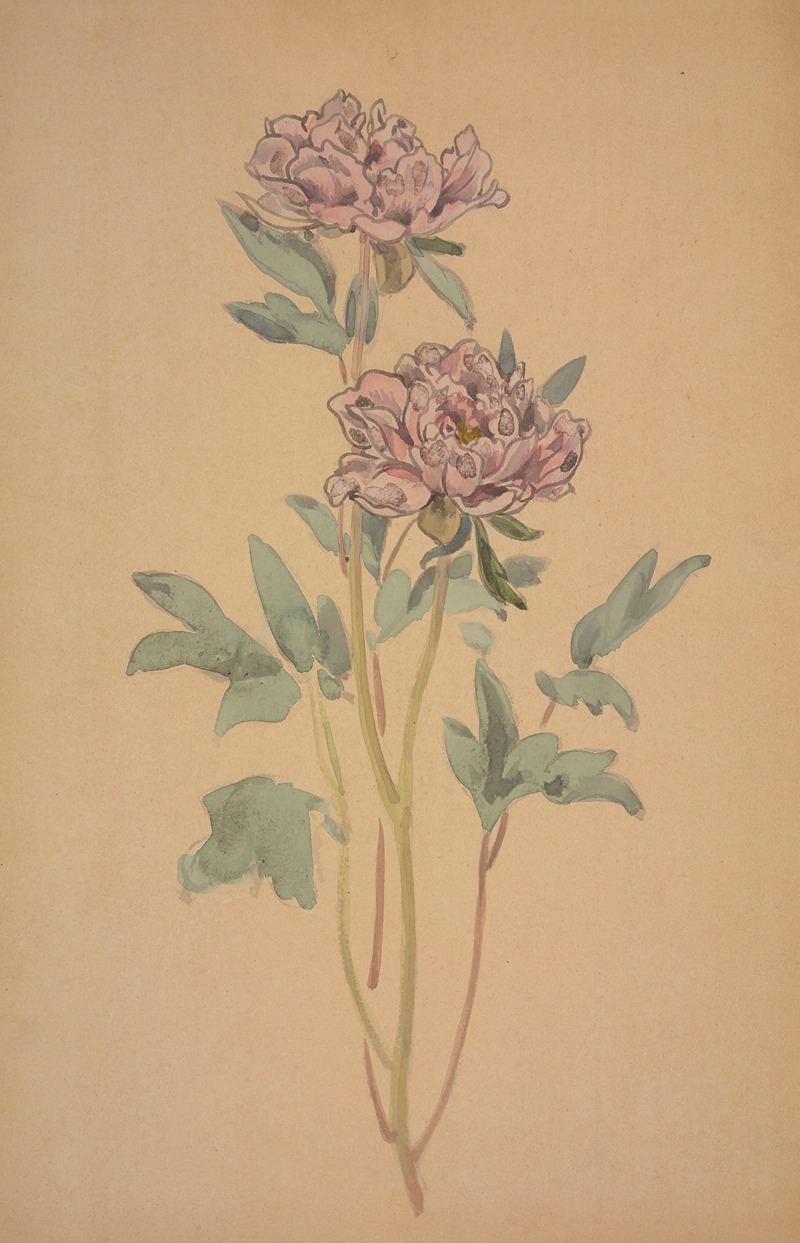 Pivoines by George Auriol — digital art print download