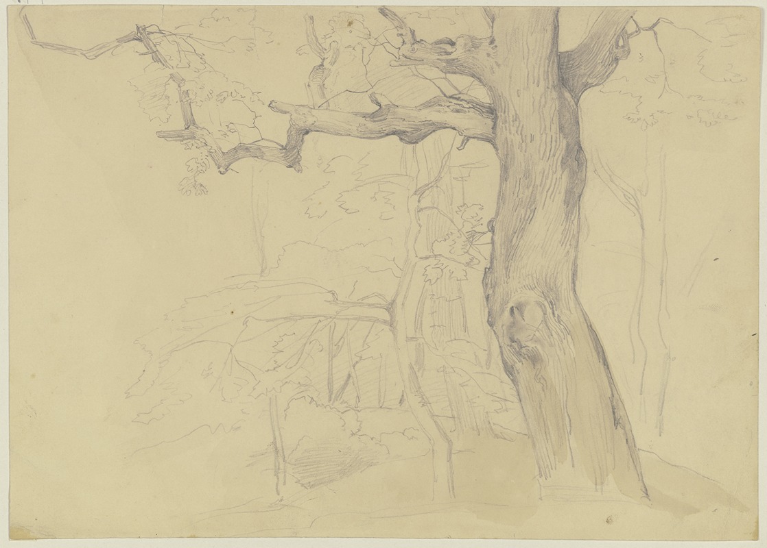 Group of trees by Якоб Беккер — digital art print download