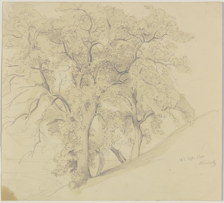 Grove on a slope by Jakob Becker, 1840 — digital art print download