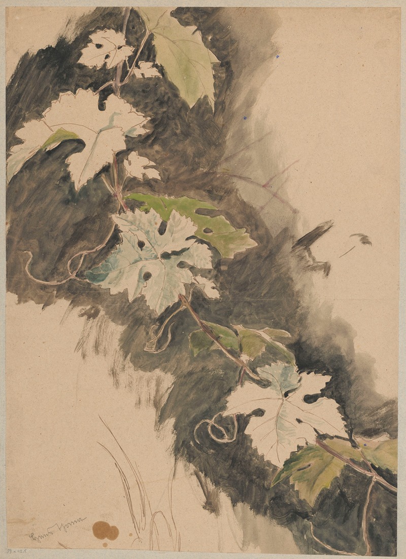 Study of grapevines by Ханс Тома, 1890 - 1910 — digital art print download