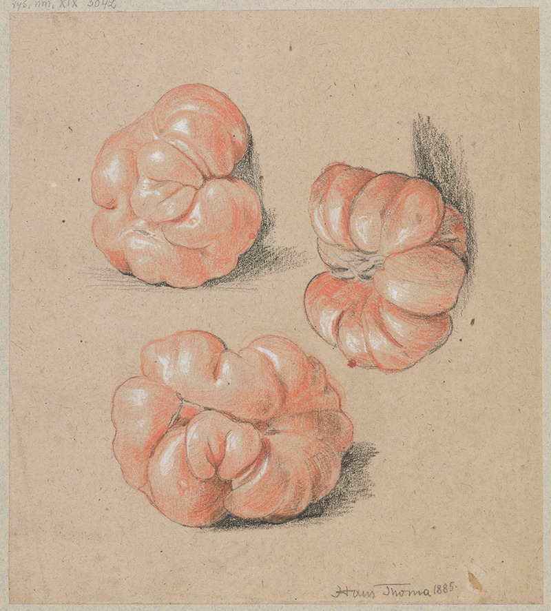 Tomatoes by Ханс Тома, 1885 — digital art print download