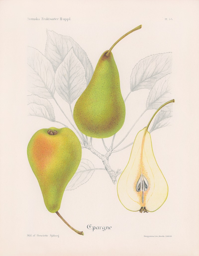 Epargne by Henriette Sjöberg, 1924 — digital art print download