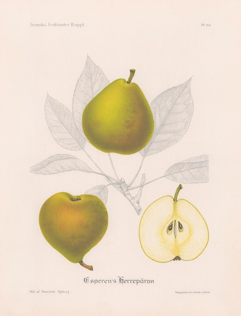 Esperens Herrepäron by Henriette Sjöberg, 1924 — digital art print download