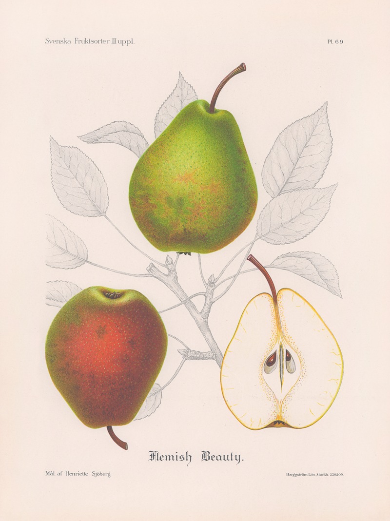 Flemish Beauty by Henriette Sjöberg, 1924 — digital art print download