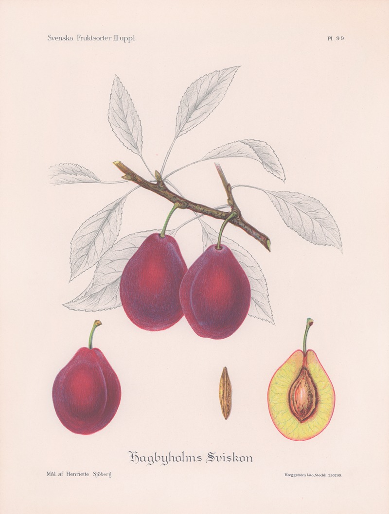 Hagbyholmssviskon by Henriette Sjöberg, 1924 — digital art print download