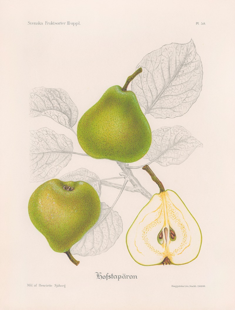 Hovstapäron by Henriette Sjöberg, 1924 — digital art print download