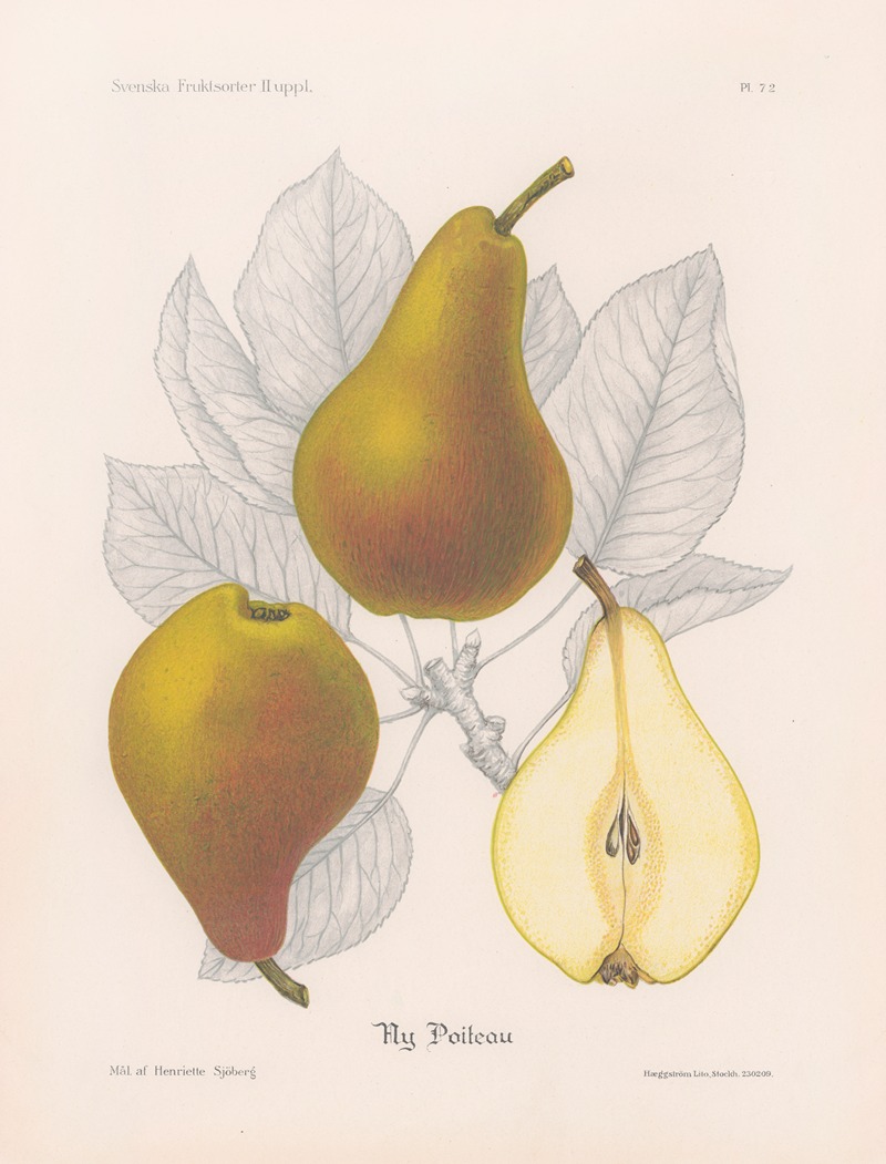 Ny Poiteau by Henriette Sjöberg, 1924 — digital art print download