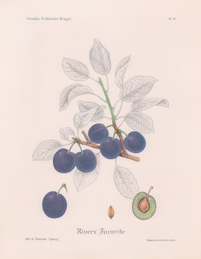 Rivers' Favorite by Henriette Sjöberg, 1924 — digital art print download