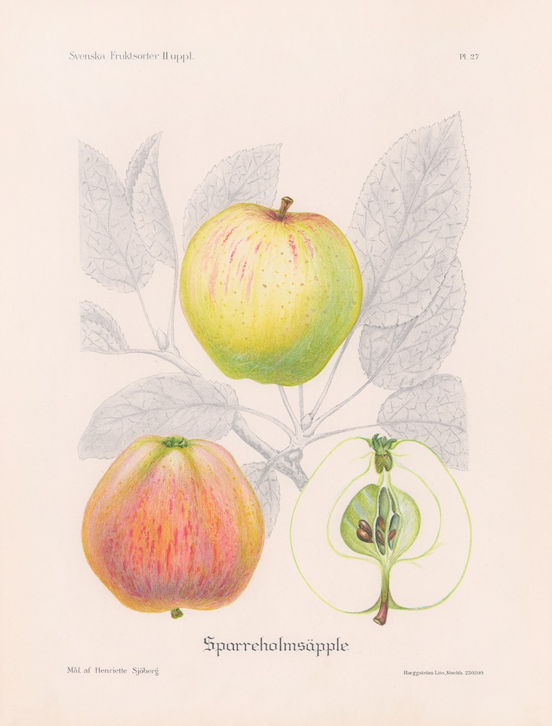 Sparreholmsäpple by Henriette Sjöberg, 1924 — digital art print download