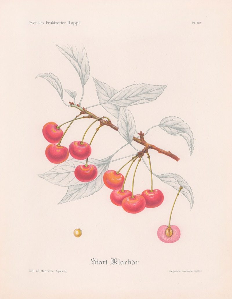 Stort klarbär by Henriette Sjöberg, 1924 — digital art print download