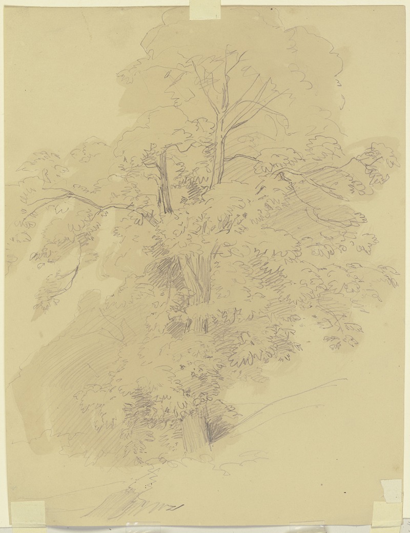 Tree by Jakob Becker — digital art print download