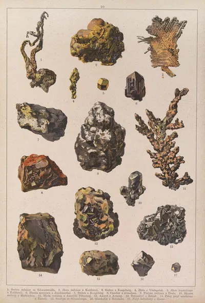 Historya naturalna w obrazach Pl.20 by Feliks Wermiński, 1893 — digital art print download