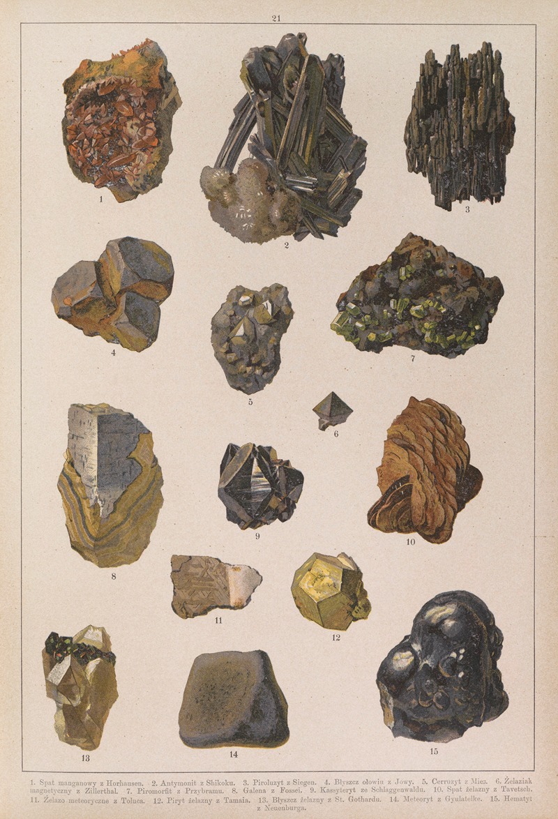 Historya naturalna w obrazach Pl.21 — Feliks Wermiński
