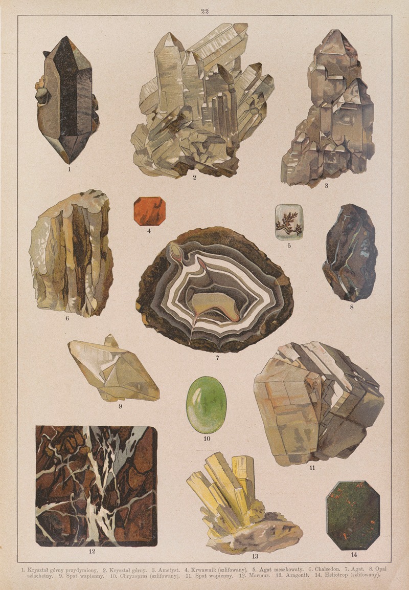 Historya naturalna w obrazach Pl.22 — Feliks Wermiński