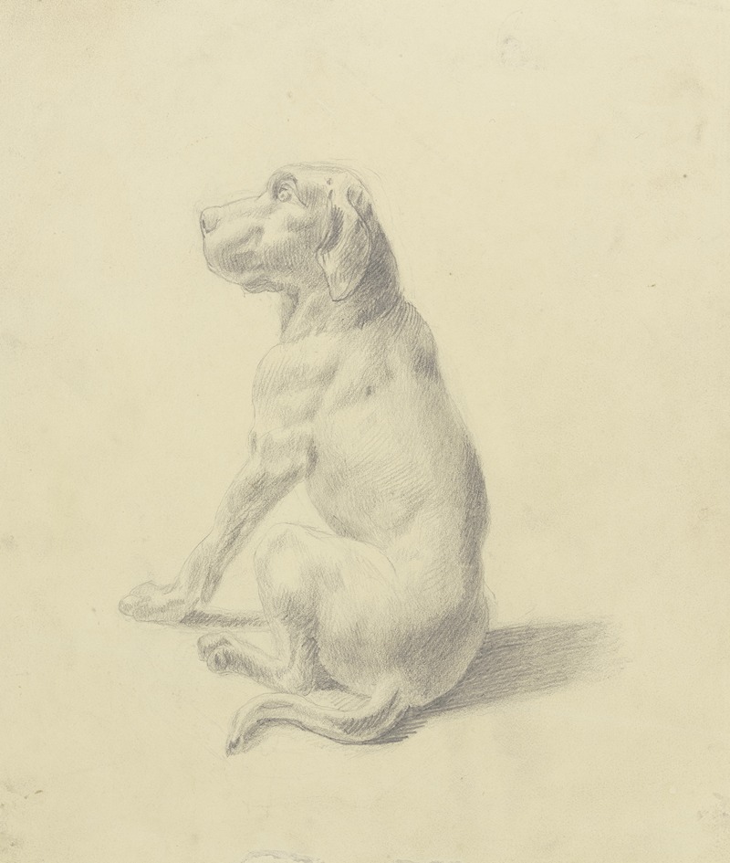 Sitting dog to the left by Виктор Мюллер — digital art print download