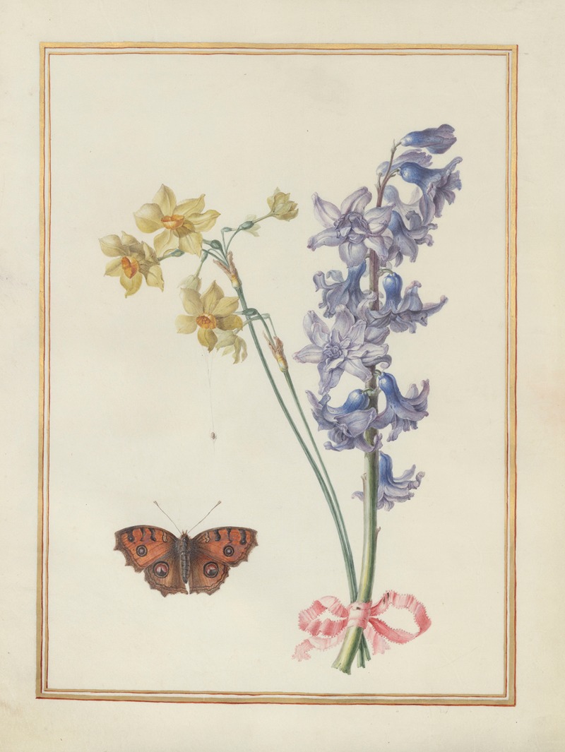 Collection of flower drawings Pl.07 — Madeleine-Françoise Basseporte