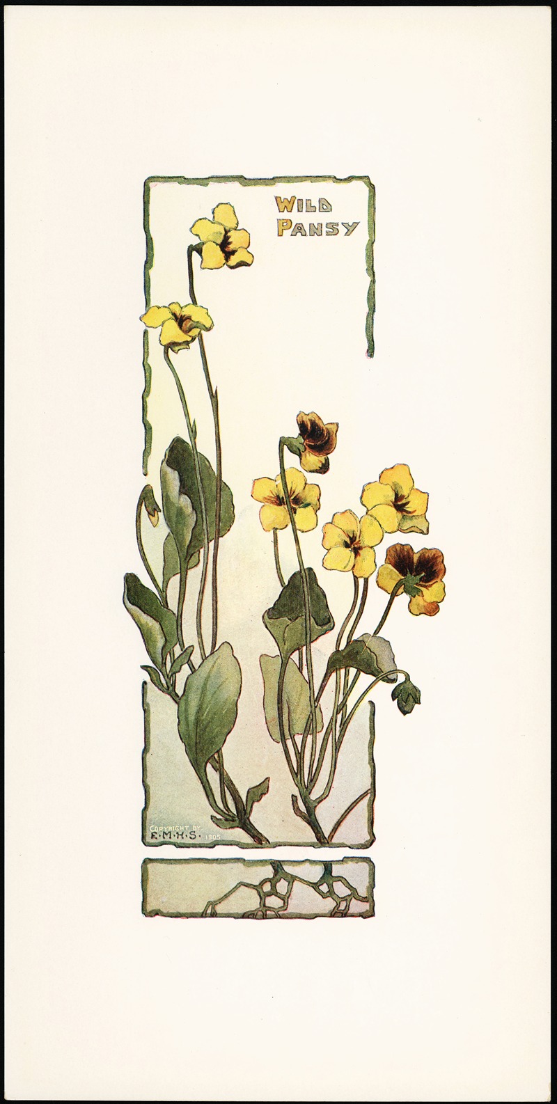 Wild Pansy by Elizabeth Moore Hallowell, 1905 — digital art print download