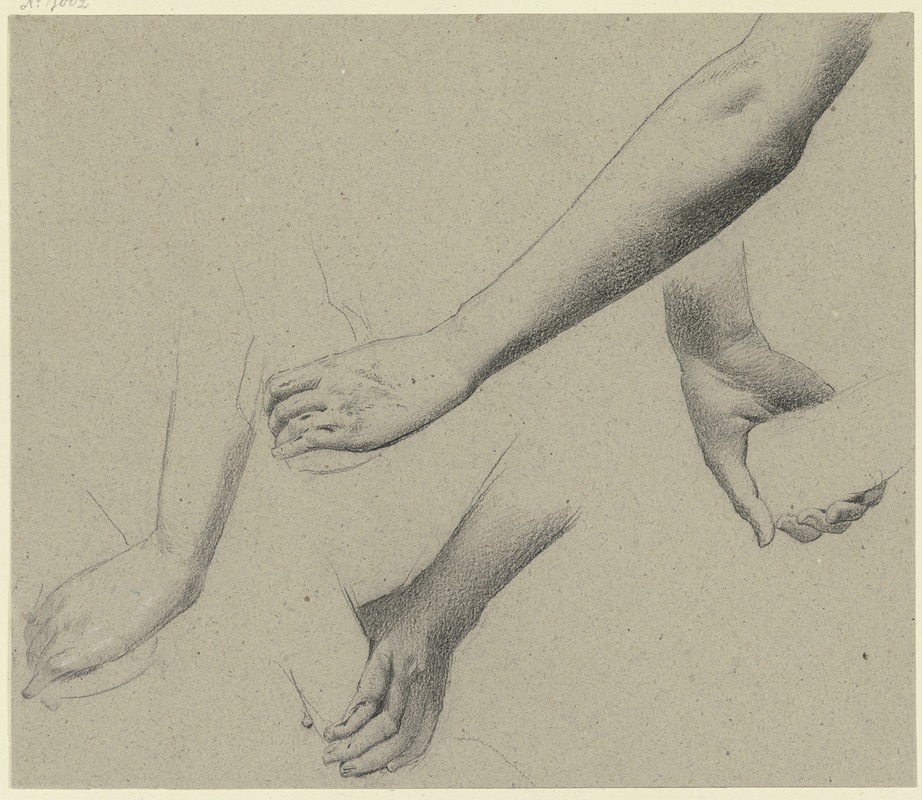 Studies of arms and hands — Вильгельм Гентц