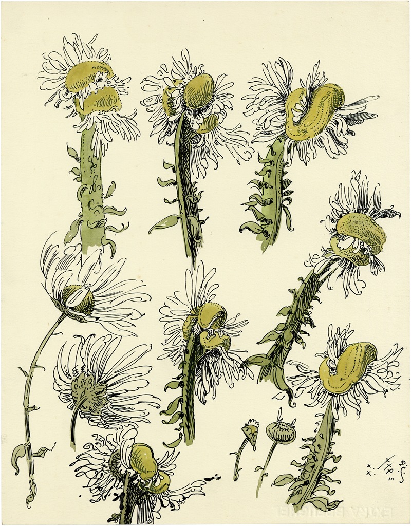 De St-Jansbloem by Alfred Ost, 1933 — digital art print download