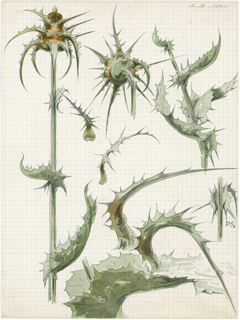 Distel, 2de soort by Альфред Ост, 1912 — digital art print download