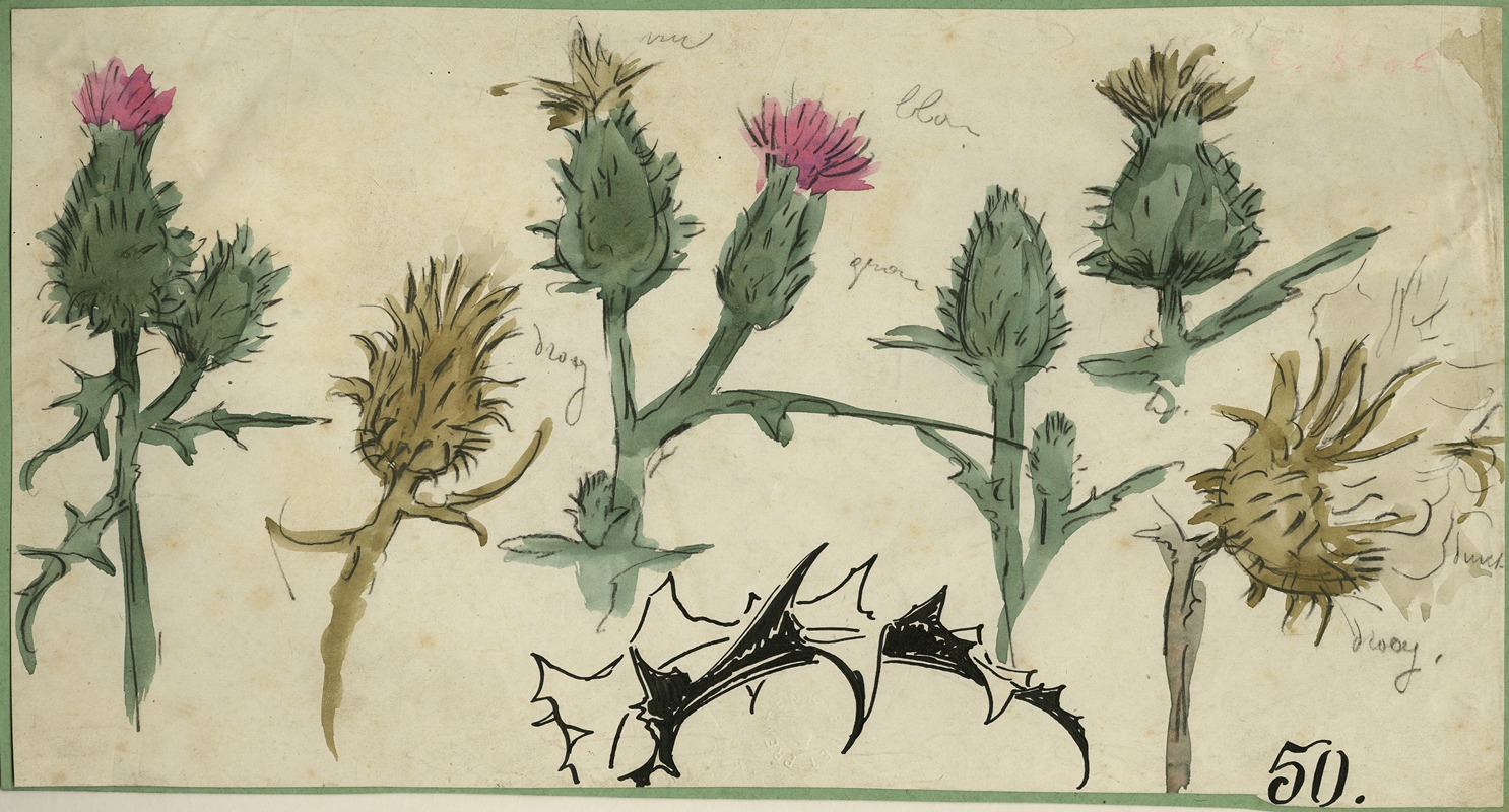 Distelbloemen by Альфред Ост — digital art print download