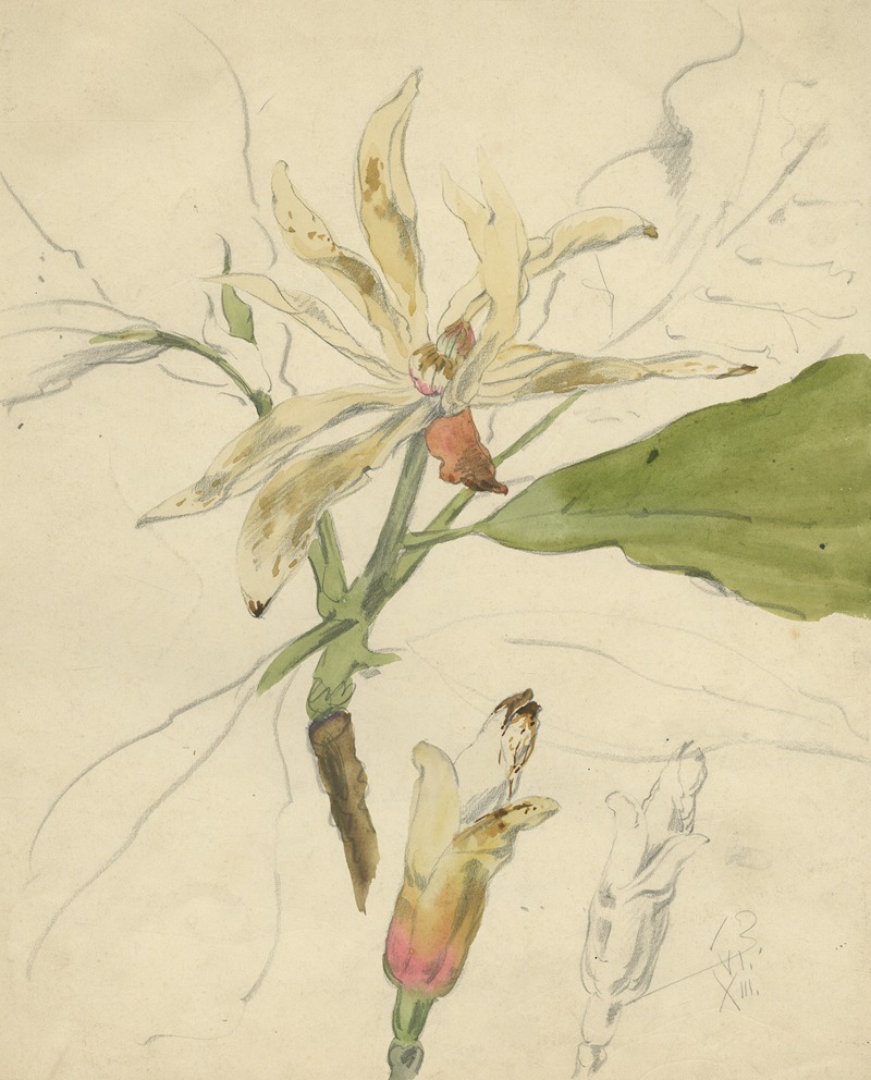Westerse Magnolier by Alfred Ost — digital art print download