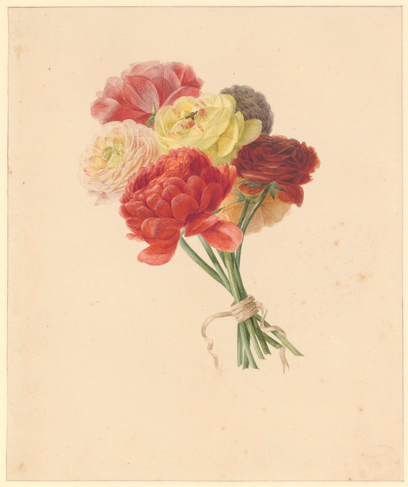 Een boeket renonkels by Albertus Jonas Brandt, 1800-1821 — digital art print download