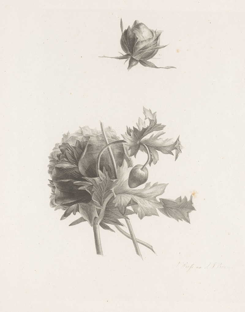Roos en andere bloem by Albertus Jonas Brandt, 1820-1823 — digital art print download